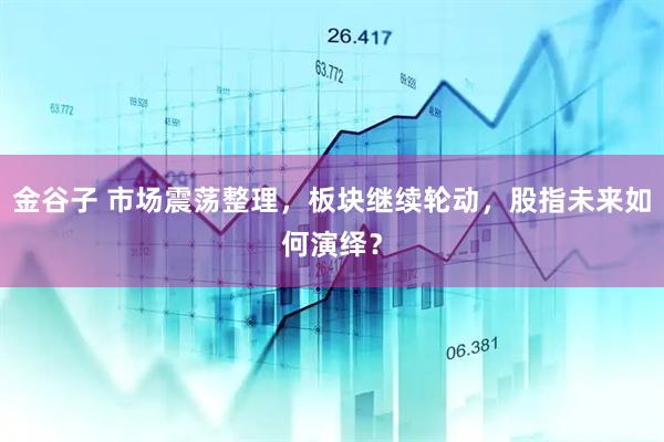金谷子 市场震荡整理，板块继续轮动，股指未来如何演绎？