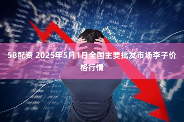 58配资 2025年5月1日全国主要批发市场李子价格行情