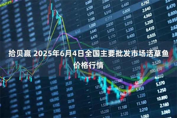 拾贝赢 2025年6月4日全国主要批发市场活草鱼价格行情