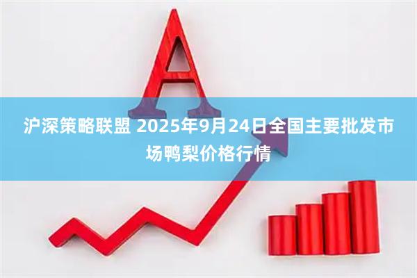 沪深策略联盟 2025年9月24日全国主要批发市场鸭梨价格行情