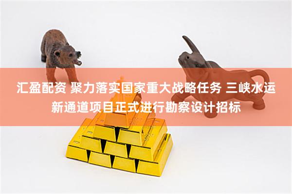 汇盈配资 聚力落实国家重大战略任务 三峡水运新通道项目正式进行勘察设计招标